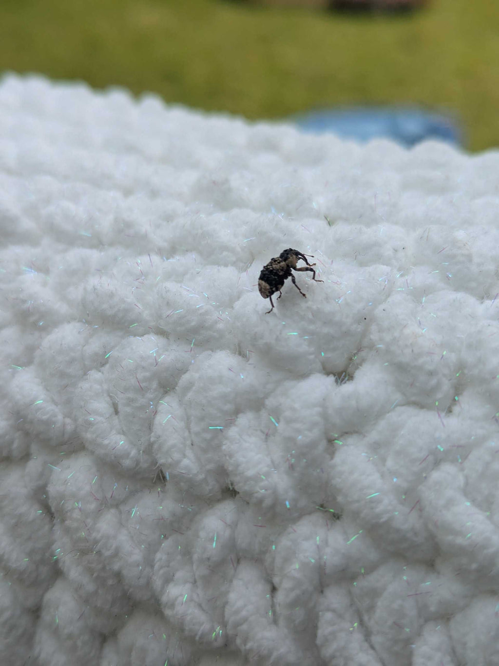 Bunny Hat - Bluebell